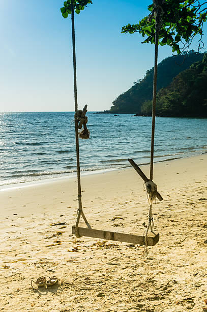 istock Lonly island beach with a swing attached to a tree 513737570