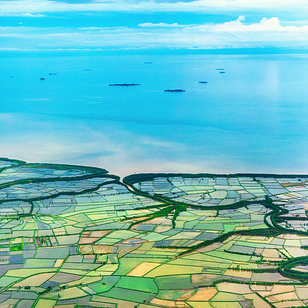 Rice Growing Areas in Coastal Plain, Indonesia