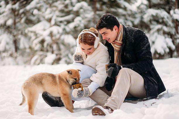 istock couple with a dog in winter forest 513740928