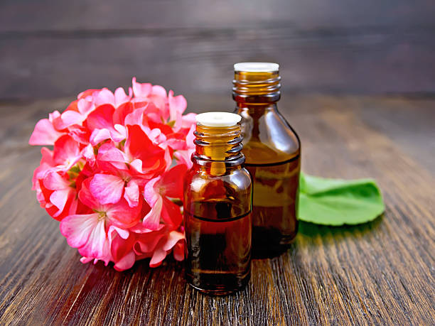 istock Oil with pink geraniums on board 513743338