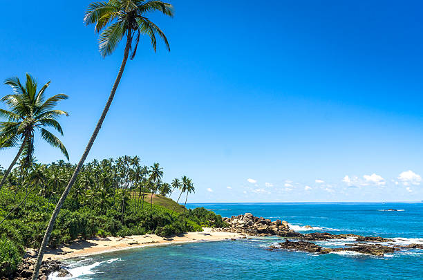 istock Tropical beach in Sri Lanka 513748540