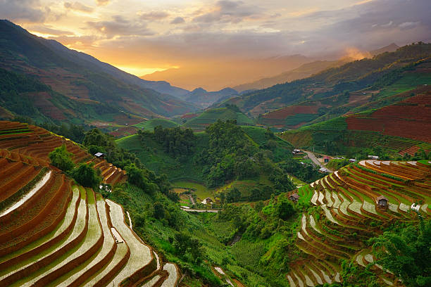 istock Rice fields on terraced in rainny season at Vietnam. 513748764
