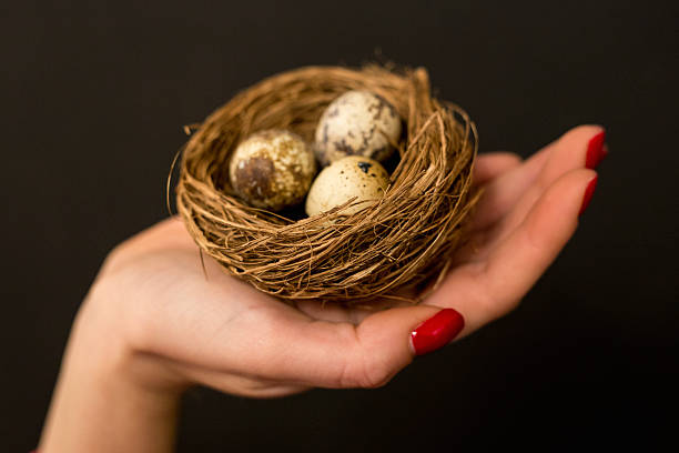 istock Close up of hand hold Easter eggs in nest 513748812
