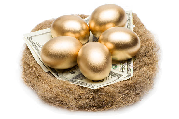 istock Nest with golden eggs on a white background 513749278