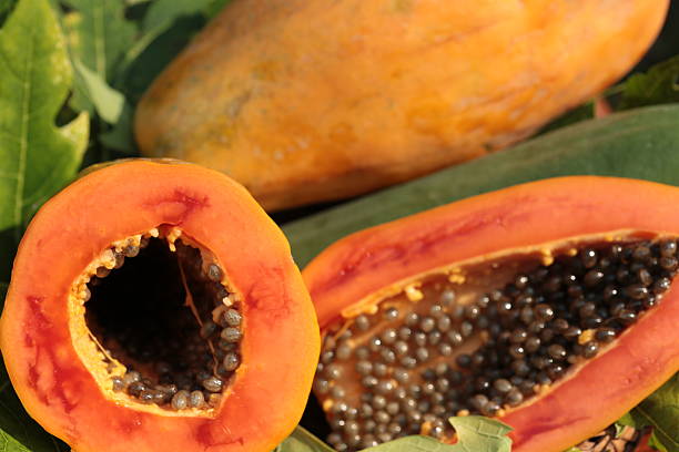istock Thailand papaya fruit 513750256