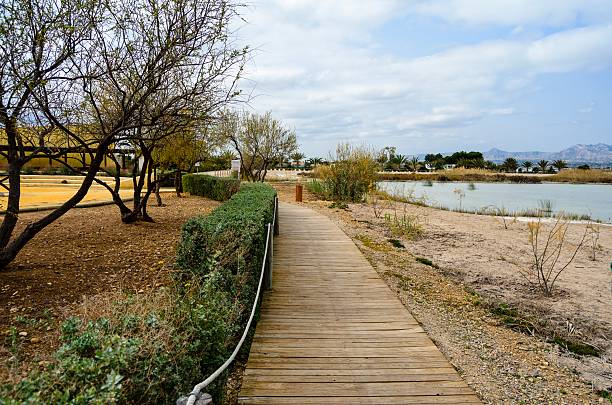 istock Wooden walkway in Spain 513751242