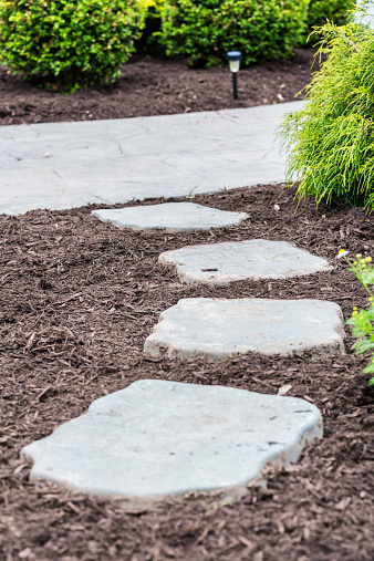 A landscape service worker has just  finished spreading a fresh new layer of shredded pine bark garden mulch around this suburban home's flagstone footpath and poured concrete walkway.