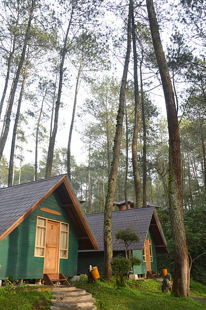 森の中でのご宿泊 - lodging ストックフォトと画像