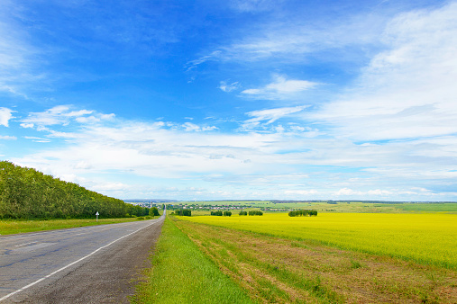 Hermoso paisaje con verde césped, Blue Sky and Country Road photo