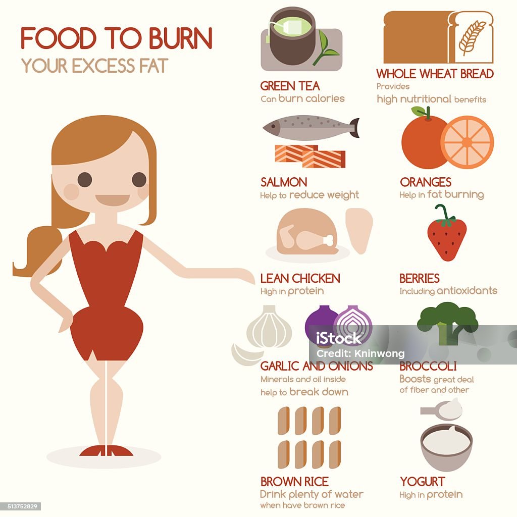 Food to burn your excess fat Breakfast stock vector