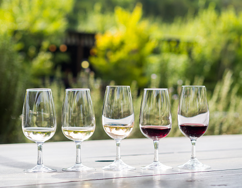 Wine tasting in Stellenbosch, South Africa. From the left: sauvignon blanc, chardonnay, blanc de noir, merlot, cabernet sauvignon.