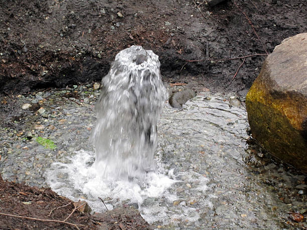 artesian primavera - groundwater imagens e fotografias de stock