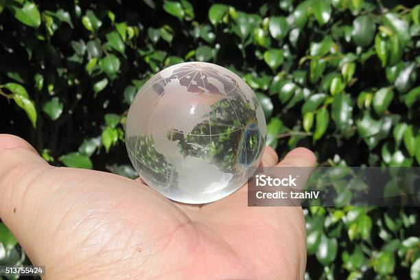 Crystal Ball Stock Photo - Download Image Now - Fortune Teller, Plant, Autumn