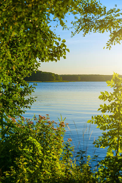 istock sunset over jungle at a lake - green trees 513755572