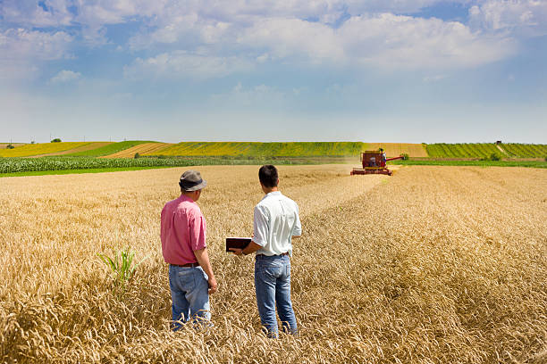 Business people on wheat field stock photo