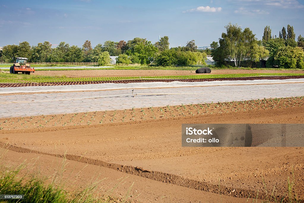 Farmland - Foto de stock de Agricultura libre de derechos