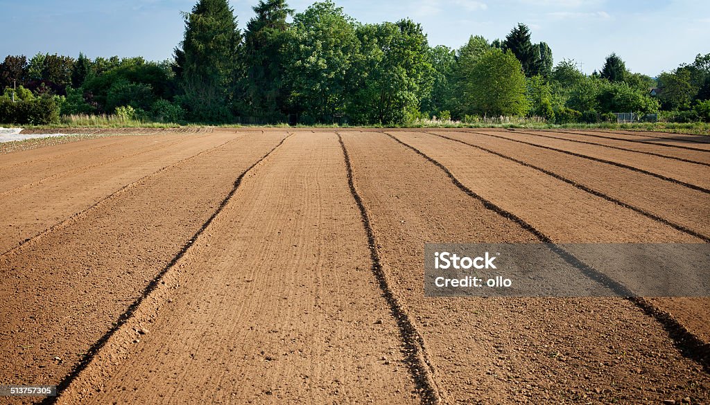 Campo arado, farmland - Foto de stock de Agricultura libre de derechos