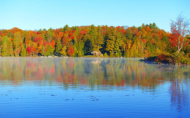 istock Autumn Foliage reflecting in Lake, Adirondacks, New York 513757531