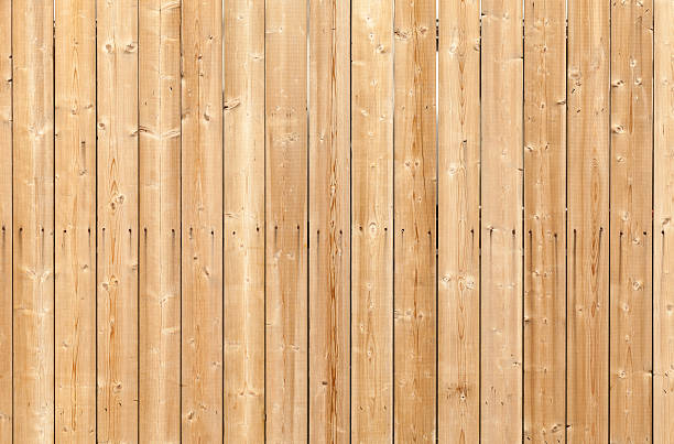 istock Uncolored wooden wall with nails. Background photo texture 513757779
