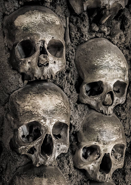 istock Wall full of skulls and bones 513758185