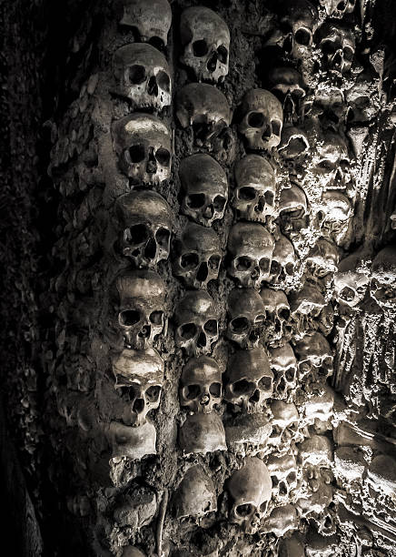 istock Wall full of skulls and bones 513758187