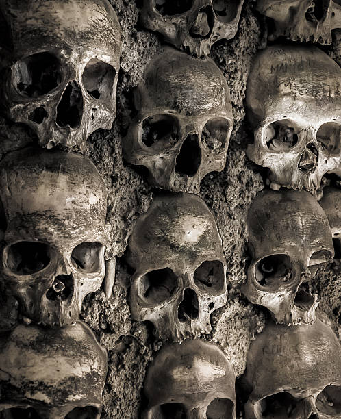 istock Wall full of skulls and bones 513758189