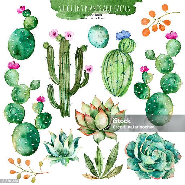 Set Of High Quality Hand Painted Watercolor Succulent And Cactus Stock Illustration - Download Image Now