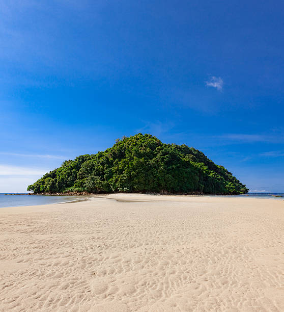 istock Tropical forest at the end of paradise sand beach 513763786