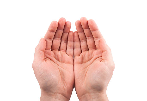 istock Open hands. Holding, giving, showing concept. Clipping path included. 513763882
