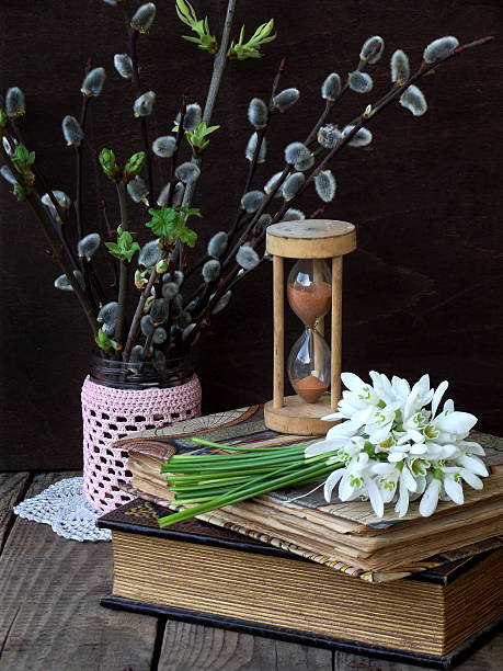 istock Snowdrops and twigs of willow 513764182