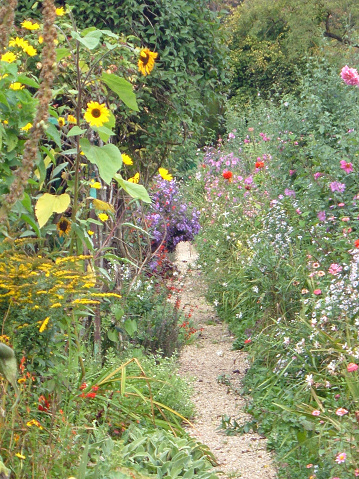 Summer colors and summer flowers frame a path through this large garden; September, Monet's Gardens, Giverny, France