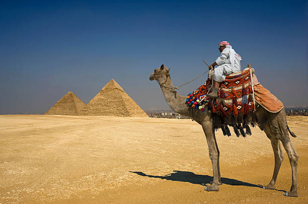 istock Bedouin On Camel Against Pyramids In Egypt 513781023