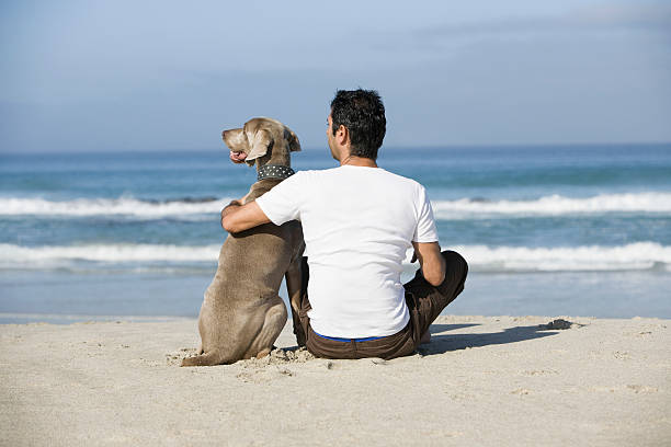 istock Man And Dog Sitting On Beach 513781031