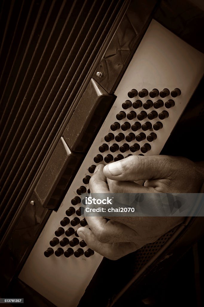 musician playing accordion Accordion - Instrument Stock Photo