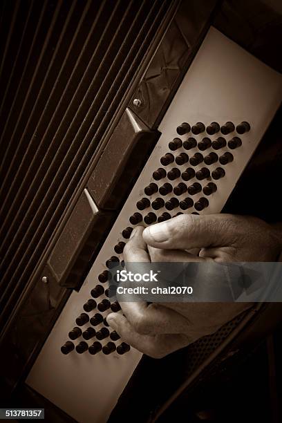 Musician Playing Accordion Stock Photo - Download Image Now - Accordion - Instrument, Accordionist, Adult