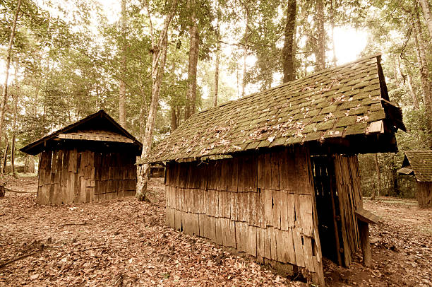istock little old house In The Forest 513782267
