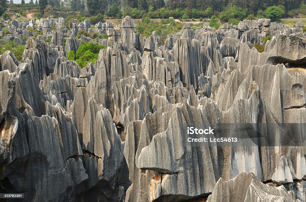 Stone forest national park Stone forest national park in Yunnan province, China Architectural Column Stock Photo