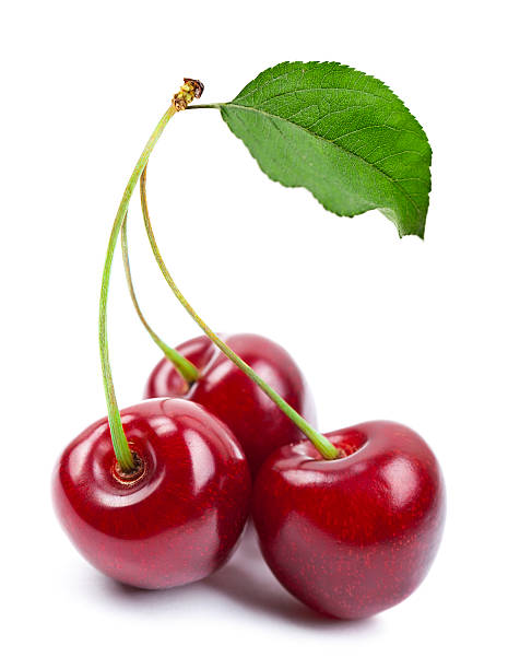 Cherry trio with stem and Leaf stock photo