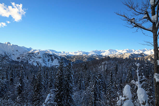 istock Snowy landscape in the mountains 513783361