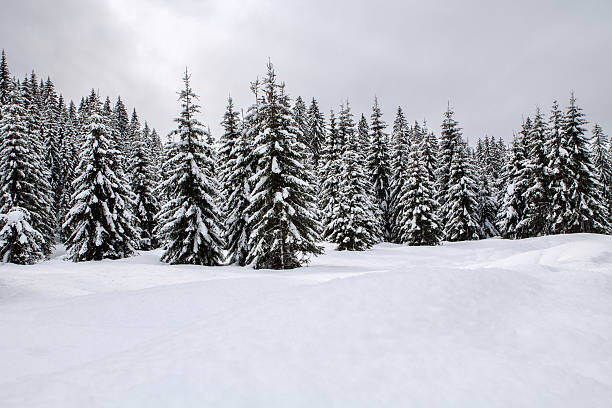 istock Snowy landscape in the mountains 513784161