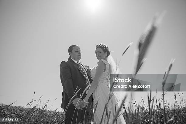 Loving Bride And Groom Stock Photo - Download Image Now - Adult, Beauty, Beauty In Nature