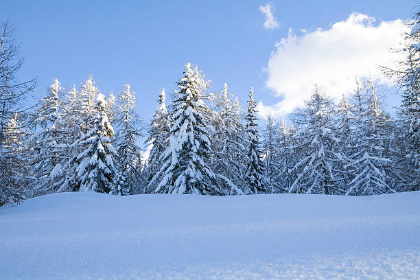 istock Snowy landscape in the mountains 513784207