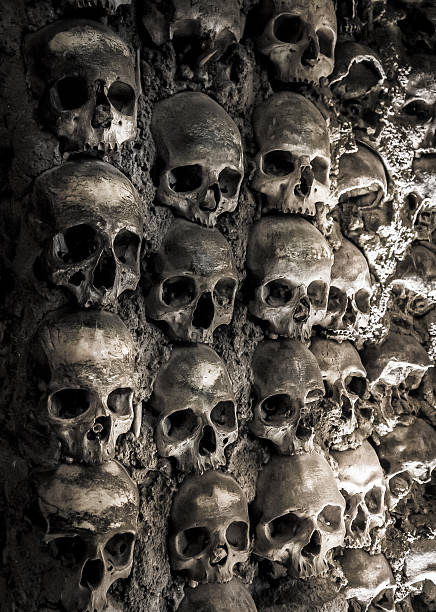 istock Wall full of skulls and bones 513784271