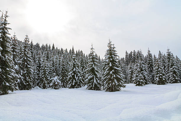 istock Snowy landscape in the mountains 513786089