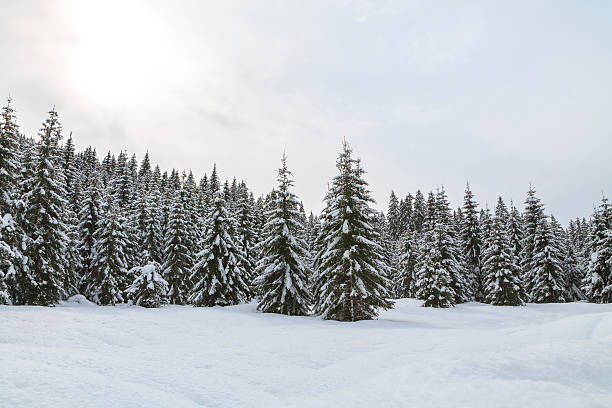 istock Snowy landscape in the mountains 513786091