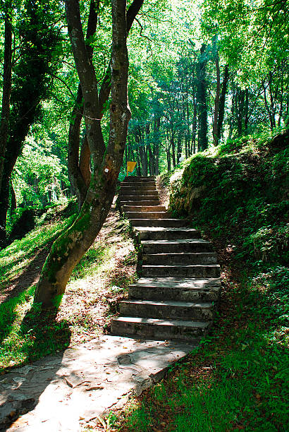 istock Forest Path Near Pliva Lake 513786481