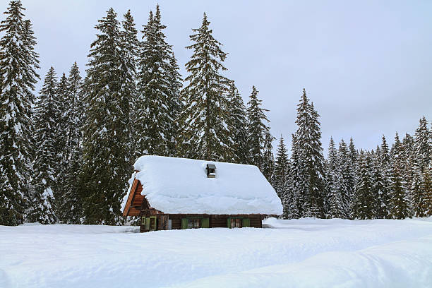 istock Snowy landscape in the mountains 513787095