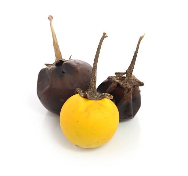 istock Eggplant, dried for cooking, photographed close up 513788019