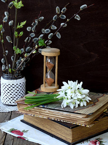 istock Snowdrops and twigs of willow 513791358