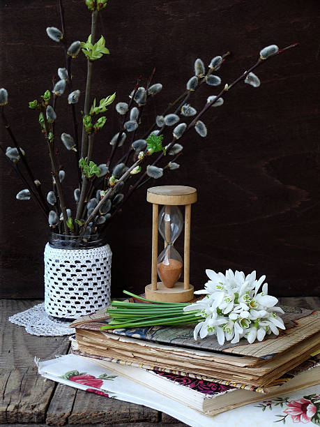 istock Snowdrops and twigs of willow 513791576